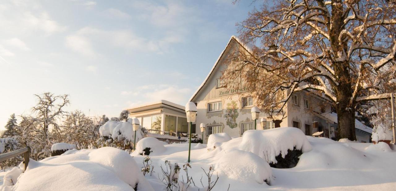 Wangen im Allgäu Gaestehaus Berlinger מראה חיצוני תמונה
